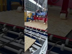 Radiata Pine oriented Strand Board spessore 18 mm per la costruzione di strutture in legno