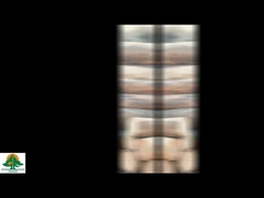 Impiallaccia di legno naturale