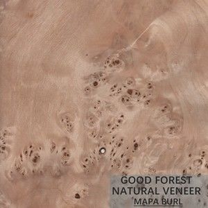 Fogli da impiallacciatura del pioppo di Burl Wood Veneer Natural White dell'albero eccellenti