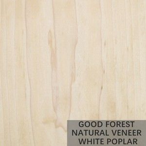 Fogli da impiallacciatura del pioppo di Burl Wood Veneer Natural White dell'albero eccellenti