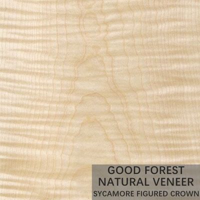 Il legno calcolato sicomoro naturale impiallaccia 0.3mm - 0.5mm per le porte interne