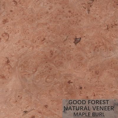 Gli uccelli dell'hotel osservano l'acero che il legno impiallaccia specialmente naturale artificiale