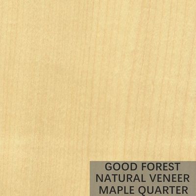 Gli uccelli dell'hotel osservano l'acero che il legno impiallaccia specialmente naturale artificiale