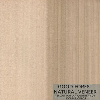 Colore eccellente di Mappa Tulip Natural Wood Veneer Boxwood doppio