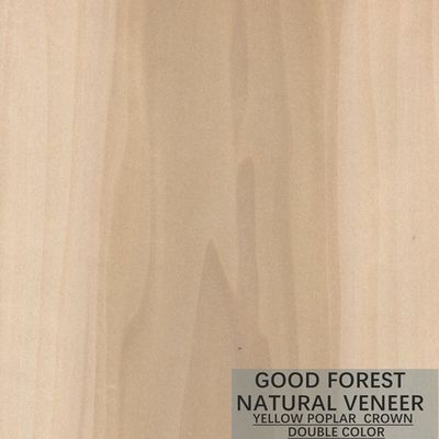 Colore eccellente di Mappa Tulip Natural Wood Veneer Boxwood doppio