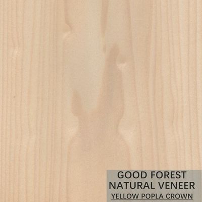 Colore eccellente di Mappa Tulip Natural Wood Veneer Boxwood doppio