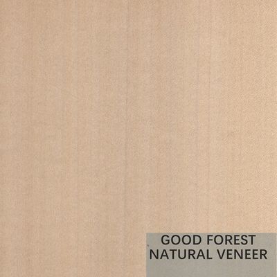 Colore eccellente di Mappa Tulip Natural Wood Veneer Boxwood doppio