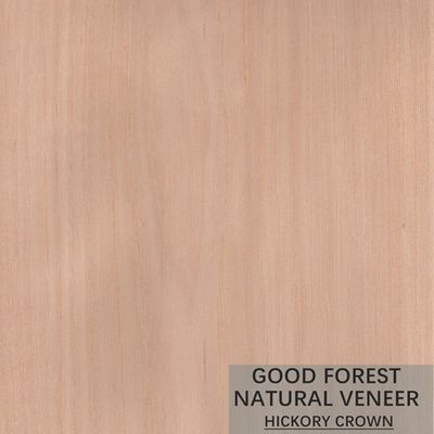 Il legno naturale del hickory impiallaccia l'impiallacciatura popolare FSC di legno del Governo di doppio colore