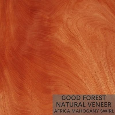 L'impiallacciatura di legno naturale appena di mogano ha personalizzato il grano del taglio della corona