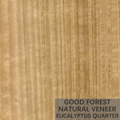 Il legno naturale dell'eucalyptus impiallaccia il compensato verticale popolare dell'impiallacciatura del grano