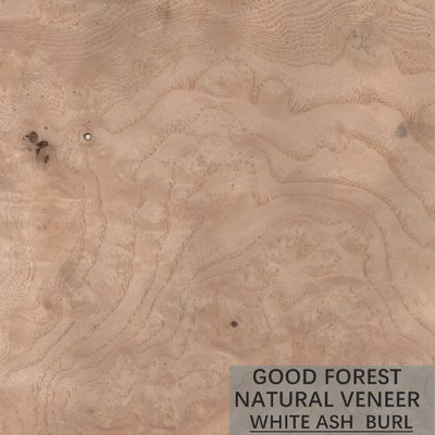 Grano naturale di ASH Wood Veneer Sheets Special su misura per le porte