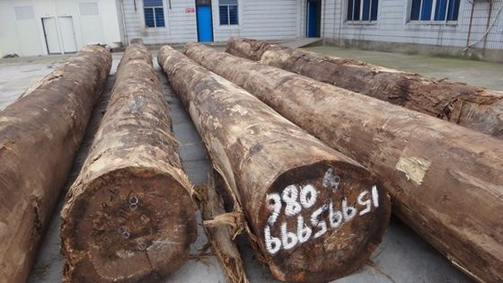 Spessore del grano della corona può essere personalizzato da 0,15 a 1,8 mm per la faccia del gabinetto