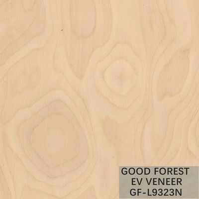 Il legno di legno costruito della radice dell'albero dell'impiallacciatura impiallaccia colore naturale/tinto