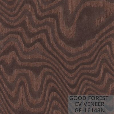 Il legno di legno costruito della radice dell'albero dell'impiallacciatura impiallaccia colore naturale/tinto