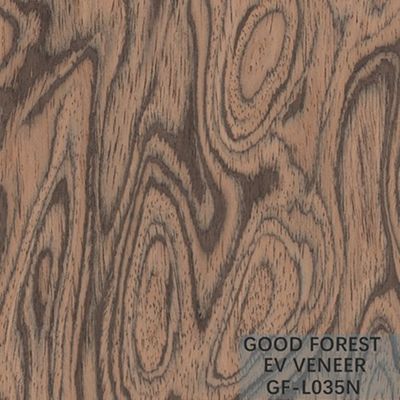 Il legno di legno costruito della radice dell'albero dell'impiallacciatura impiallaccia colore naturale/tinto