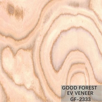 Dimensione di legno costruita di Burl Wood Veneer EV 2500*640 millimetro dell'albero dell'impiallacciatura