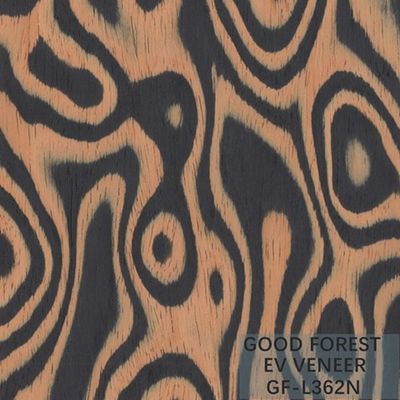 Dimensione di legno costruita di Burl Wood Veneer EV 2500*640 millimetro dell'albero dell'impiallacciatura