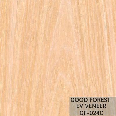 Il giallo ha ricomposto l'albicocca di legno costruita dell'impiallacciatura per il fronte del Governo