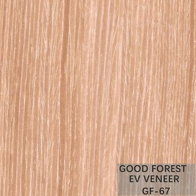 Il giallo ha ricomposto l'albicocca di legno costruita dell'impiallacciatura per il fronte del Governo