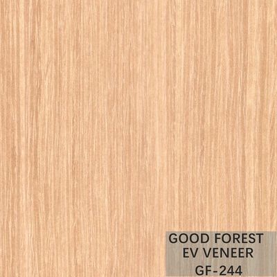 Il giallo ha ricomposto l'albicocca di legno costruita dell'impiallacciatura per il fronte del Governo
