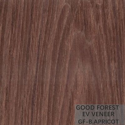 L'impiallacciatura di legno di Brown dell'albicocca ha tinto l'impiallacciatura costruita per il fronte del Governo