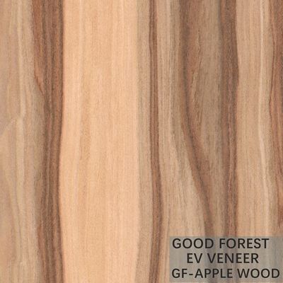 L'impiallacciatura di legno su ordinazione costruita riveste la struttura di pannelli irregolare per l'iso della decorazione