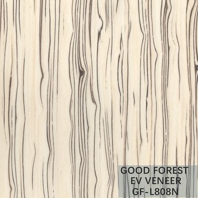 L'impiallacciatura di legno su ordinazione costruita riveste la struttura di pannelli irregolare per l'iso della decorazione