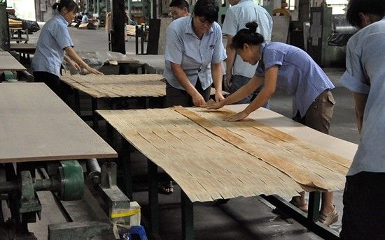 Legno colorato Cw-X3988 Granello retto per dimensioni normali 2500*640mm per rivestimento murale