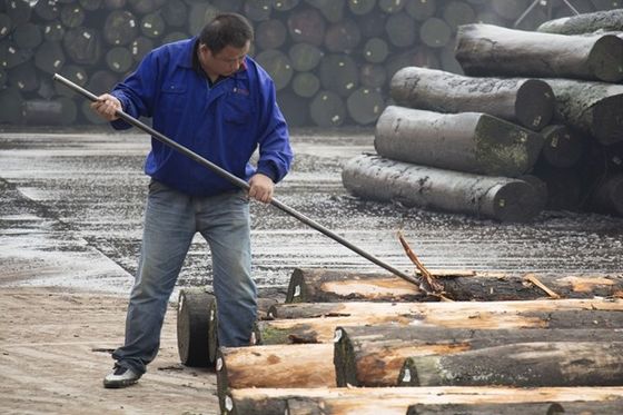 Fabbrica di veneer di legno di lusso di Santos di legno di rosa di foglio di veneer artificiale 2050-3200mm per strumenti musicali in Cina