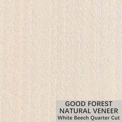 La corona naturale dell'impiallacciatura di legno di faggio bianco ha tagliato il servizio su misura