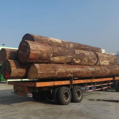 L'albicocca bianca ha costruito la fetta di legno dell'impiallacciatura H86C ha tagliato le tecniche per il rivestimento murale