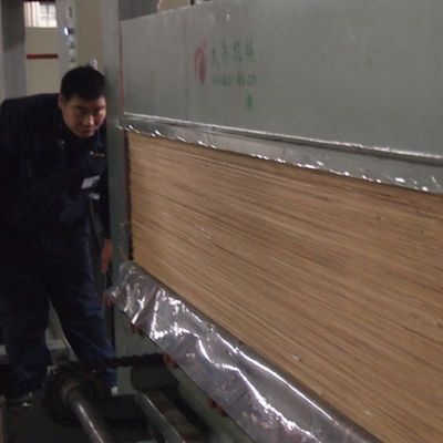 L'albicocca bianca H06C 0.15-0.6mm dell'impiallacciatura della mobilia del grano di legno artificiale della corona ha tosato indietro