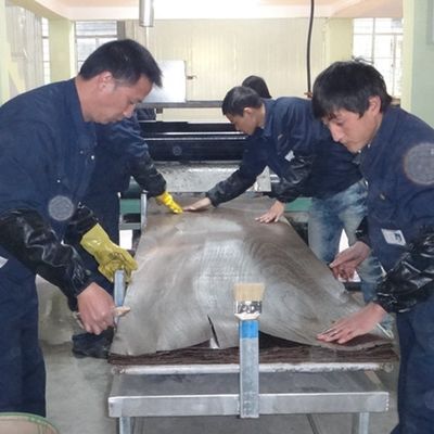 La corona artificiale bianca della quercia H8105C ha tagliato l'impiallacciatura di legno costruita 3100mm popolare per le porte
