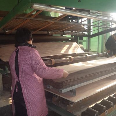 Foglio per impiallacciatura di legno americano naturale della QUERCIA bianca X024N di simulazione per l'iso di Windows e della porta