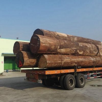 Il grano Fineline della noce X937 dell'impiallacciatura ricomposto immaginazione di legno dell'ardesia del Governo ha allungato la dimensione 3100mm dal produttore Iso della Cina