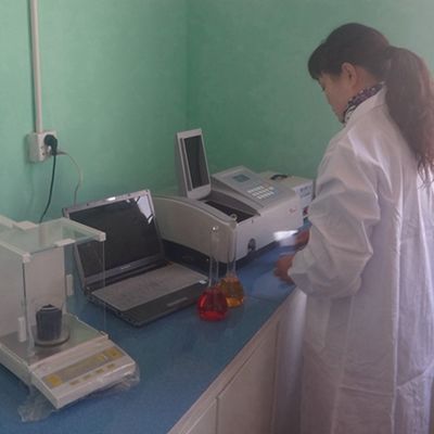 Impiallacciatura in legno di perla nera di lusso BP-X2003 (N) Nuovo design, lunghezza 3100 mm per pelli di porte in legno