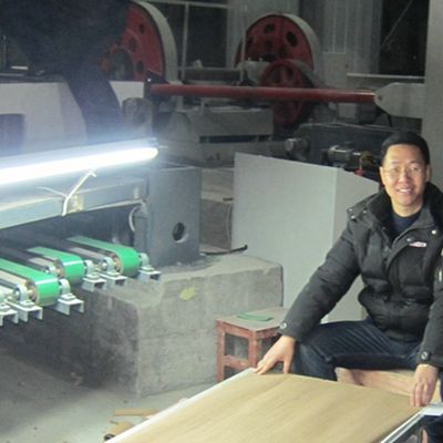 Finitura in legno ingegneristico di alta qualità Noce europea E.WT-X6723C Corona marrone scuro per decorazioni alberghiere Cina OEM Factory