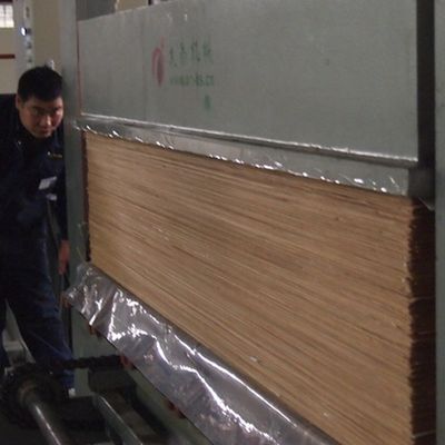 Foglio di impiallacciatura in legno ingegnerizzato da 0,45 mm di Black Pearl BP-X8003, venatura dritta, per rivestimento murale