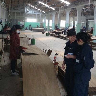 Veneer di legno di lusso cinese di cenere artificiale lunghezza 3100mm può essere personalizzato per la decorazione Cina fa