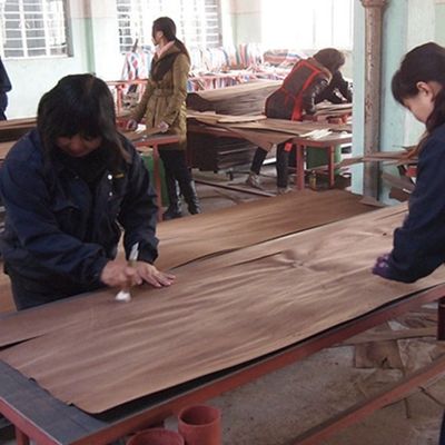 Ingegneria del legno Veneer Padouk Straight Grain Slice Cut Technics Spessore 0,5 mm per la faccia del gabinetto