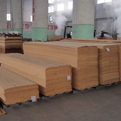 Ricognizione personalizzata del legno di olmo veneer taglio diretto e taglio corona per la faccia del gabinetto di 2500 * 640 mm