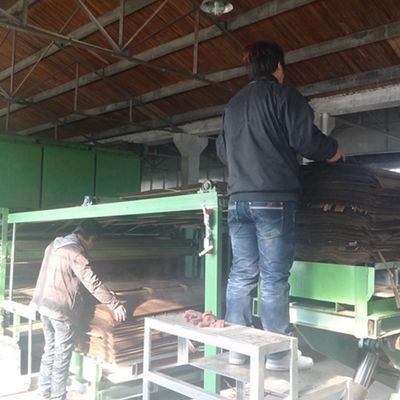Fancy ingegneria legno rivestimento di Quandong spessore 0,18-0,6 mm per la decorazione dell'hotel può essere personalizzato
