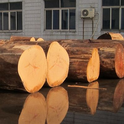 Finitura in legno ingegneristico di alta qualità Noce europea E.WT-X6723C Corona marrone scuro per decorazioni alberghiere Cina OEM Factory