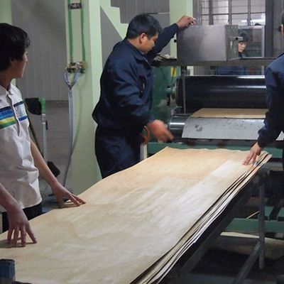 Foglio di impiallacciatura in legno ingegnerizzato da 0,45 mm di Black Pearl BP-X8003, venatura dritta, per rivestimento murale