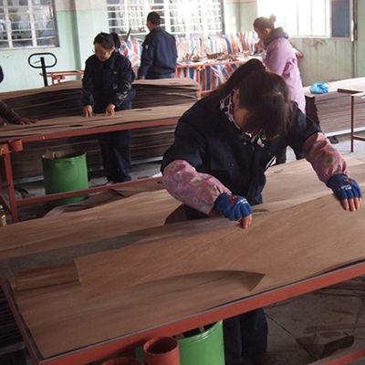 Impiallacciatura in legno ingegnerizzato Grey Wing 3100mm per pannelli porta GW-X0133