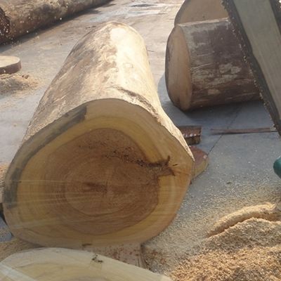 Il legno costruito decorativo ricostituito dell'albicocca impiallaccia popolare verticale del grano dell'albicocca bianca X24 usato per il fronte del Governo