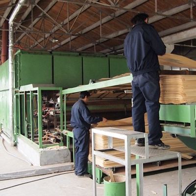 Fornitura di fabbrica Fornitura di legno ingegneristico di spessore 0,5 mm BBGS-L10.0N per decorazioni alberghiere