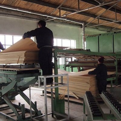 Fenerie di legno di ingegneria speciale, radice nera e bianca 3N per la decorazione, 3100 mm