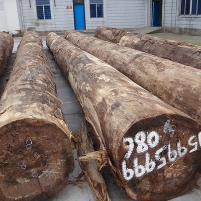 High-End Ingegneria Legno Veneer Agate Blu B.AT-X3282 Modello ondulato colore scuro spessore 0,55 mm Per la scultura in legno