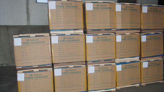 Veneer di legno modificato di noce europea 0.35-0.52mm WTB-X6008 Fleeced Back For Shipping And Yacht